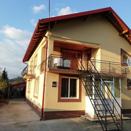 Отель Casa Lidia Si Gogu Budeasa Mare Экстерьер фото