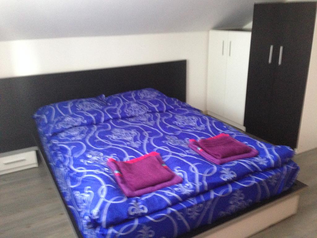 Отель Casa Lidia Si Gogu Budeasa Mare Экстерьер фото