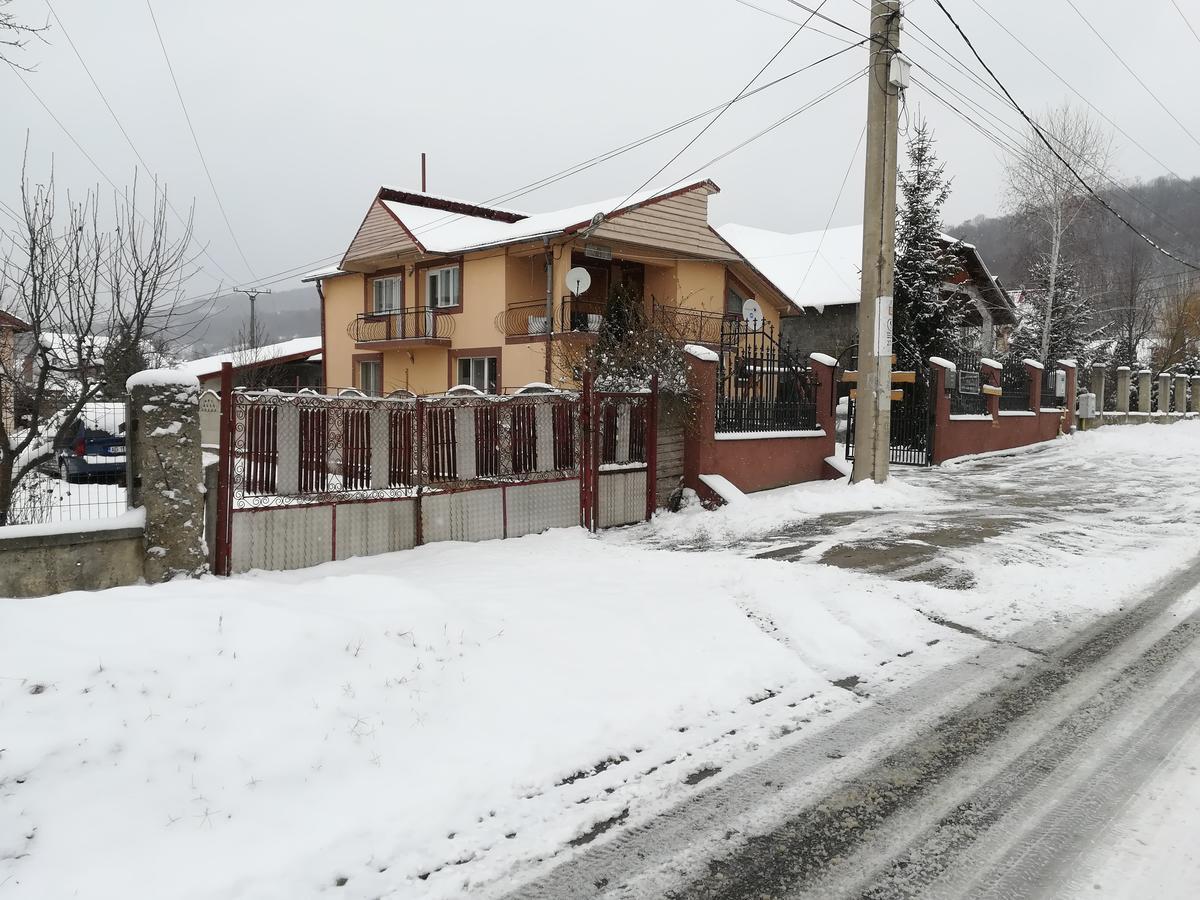 Отель Casa Lidia Si Gogu Budeasa Mare Экстерьер фото