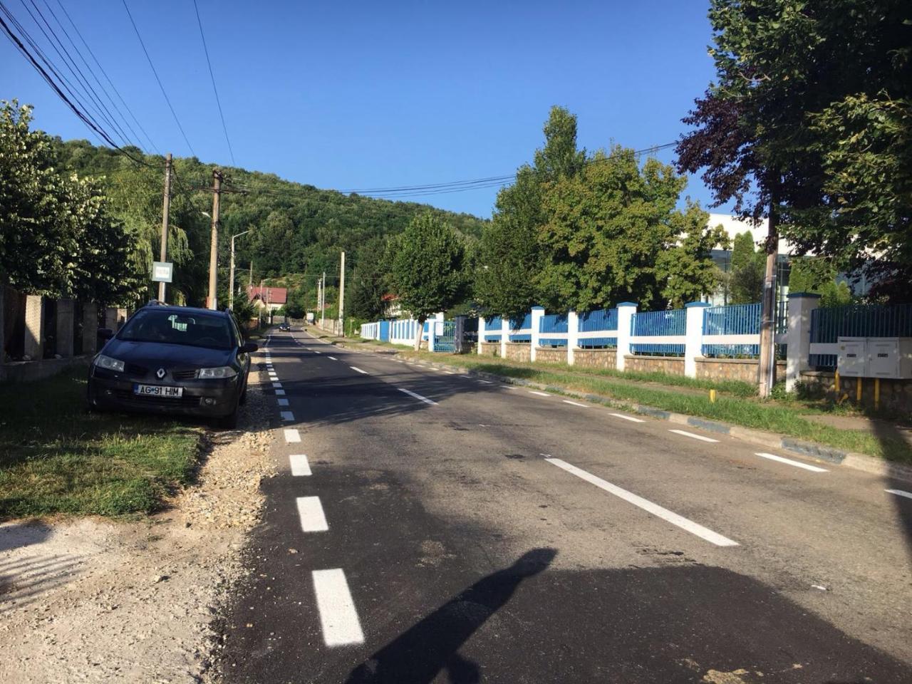 Отель Casa Lidia Si Gogu Budeasa Mare Экстерьер фото